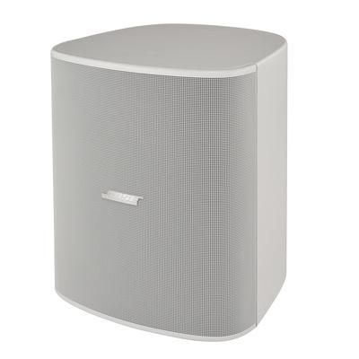 Bose Professional DesignMax DM12SE white