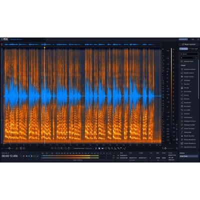 iZotope RX 12 Advanced EDU