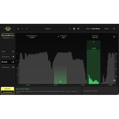 NoiseWorks VoiceAssist Standard