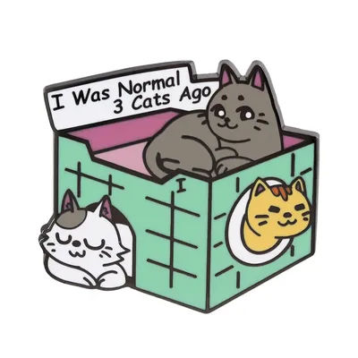 “I Was Normal 3 Cats Ago”brooch Cat Box Enamel Pin Cat Themed Metal Badge Cat Enthusiast Lapel Pin Fashion Decoration Accessory