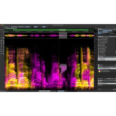Steinberg SpectraLayers Pro 13 EDU