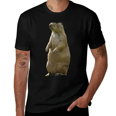 T-shirt Marmot de haute qualité et durable