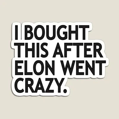 I Bought This After Elon Went Crazy Magnet Cute Baby Toy Children Home Refrigerator for Fridge Organizer Holder Decor Funny