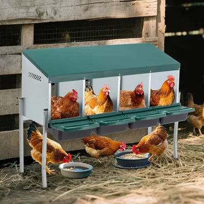Nichoir à poules 4 compartiments avec pieds et couvercle extérieur, vert, pour poulailler et enclos à volailles
