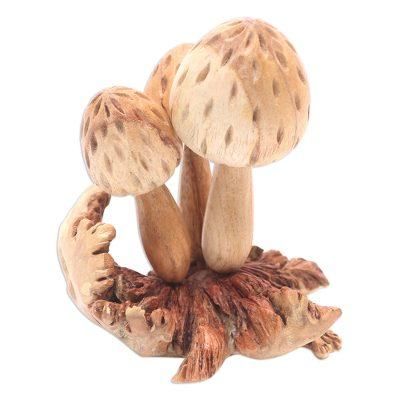 Living Mushrooms','Hand Made Jempinis Wood Mushroom Sculpture'