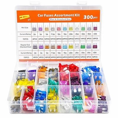 Kit assortimento fusibili auto, mini fusibili a lama per auto fusibili standard per auto estrattore – ricambio per camper, roulotte, barche, camion (gli assortimenti dei prodotti variano in base