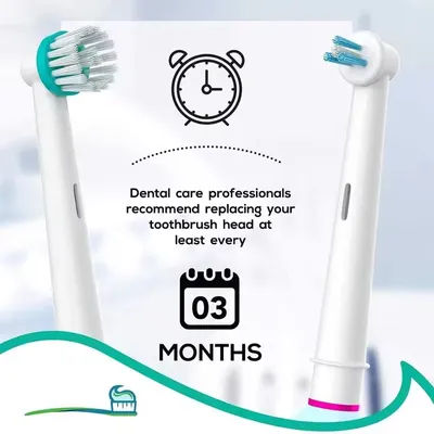 Têtes de brosse de rechange Interspace et Ortho Care compatibles avec la brosse à dents électrique Oral B, les appareils dentaires, les bridges dentaires