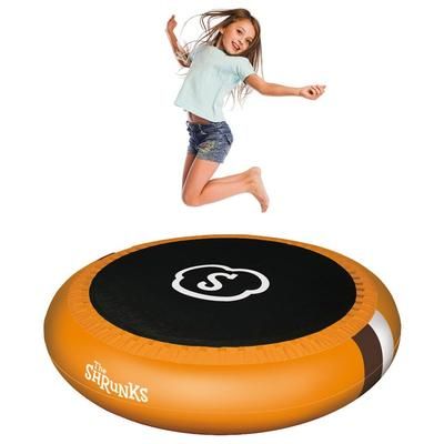 The Shrunks Trampoline with Pool