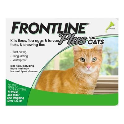 Frontline Plus For Cats 6 Pipettes