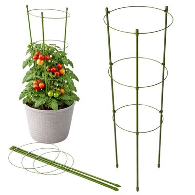 Plantestøtte 60 cm med 3 justerbare ringe grøn metal/plast