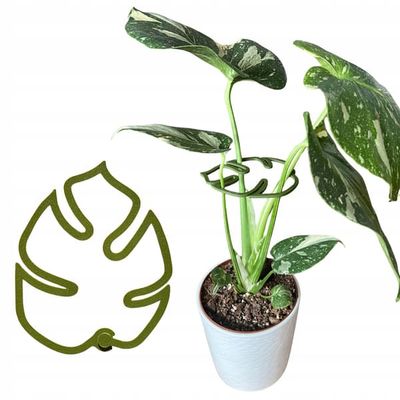Støtte til planter og blomster MONSTERA STRONG Støttegrebslås S 10 cm