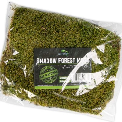 Terrario Shadow Forest Moss - naturlig mos 35x28cm
