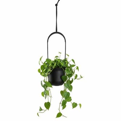 Aera Hang genbrugshængende plantekasse, sort, 17,9 cm
