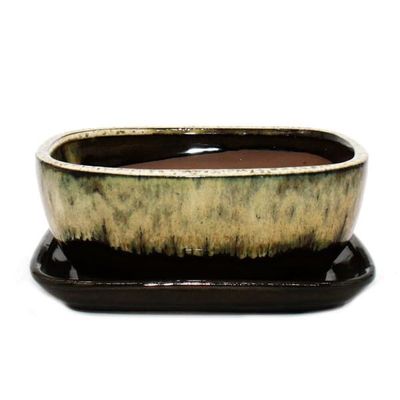 bonsai skål med fat St. 3 - brun-beige - rektangulär - modell gb5 - l 21,5cm - b 17cm - h 8 cm