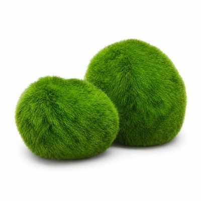 [L]3-4cm Marimo Mosbolde Levende Akvarium Plante Alger Fisk Rejer Tank Ornament Simulering Grønne Algebolde Kunstig Plante