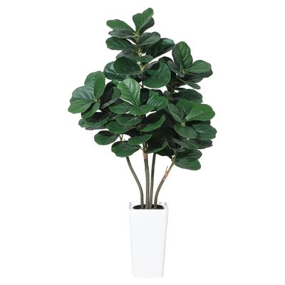 Kunstigt violinfigen træ - Fiddle Leaf Fig 150 cm gulvplante - Multi-stamme - Hvid potte - Naturtro stamme - Inde/ude - Grøn