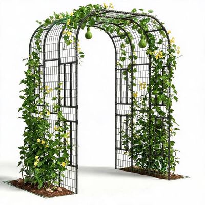 Metal havebue espalier - Planteklatrestativ til højbede - Klatrestøtte til grøntsager og agurker - 2,23 m - Sort