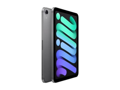 Apple iPad mini A17 Pro Wi-Fi + Cellular - Tablet - 128 GB - 8.3" IPS (2266 x 1488) - 3G, 4G, 5G - romgrå