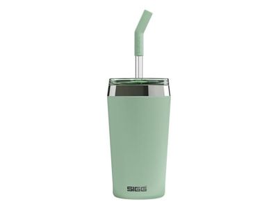 SIGG 6015.10, Grønn, Silikon, Rustfritt stål, Plast, 3 timer, 17 timer