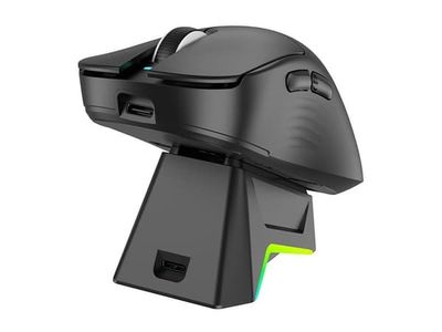 Tracer GameZone Nord RF - Mus - RGB + dock station - høyrehendt - optisk - 5 knapper - trådløs, kablet - 2.4 GHz, Bluetooth 5.3 - USB trådløs mottaker