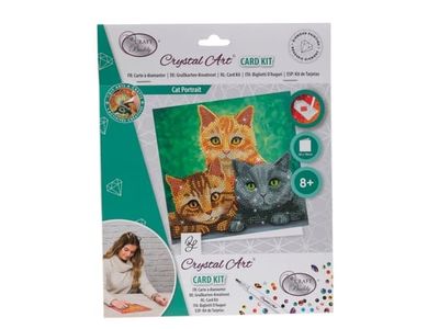 Hot Wheels Cats, 18x18 cm Crystal Art Card