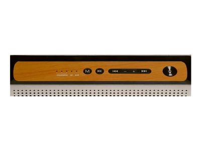 DENVER BTS-200 - Högtalare - för bärbar användning - trådlös - Bluetooth - 10 Watt - silver