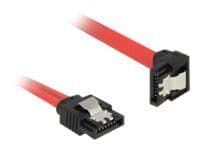 Delock - SATA-kabel - Serial ATA 150/300/600 - SATA (hann) til SATA (hann) - 50 cm - låst, 90° kontakt - rød