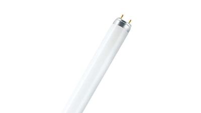 Ljuslampa G13 18W 865 6500K L18W/860 4050300517773 /25st /