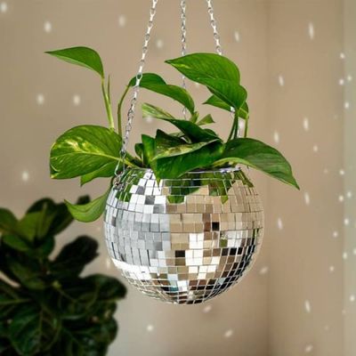 MikaMax FUNKY DISCO PLANTEKASSE