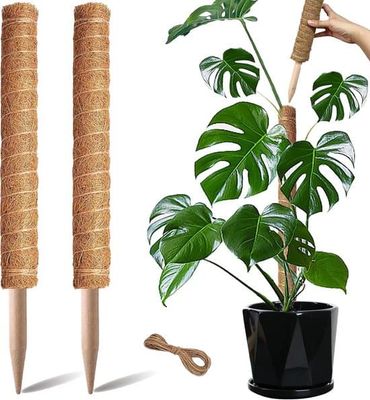 Mosstokke - Mosstokke - Espalier - Planteklatrestokke - Plantestøtte - Velegnet til Monstera, Pothos, Pengetræ - 2 Stykker - 50cm