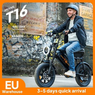 URLIFE T16 Elcykel 250W Motor 25 km/h Snabb hastighet 45-50 km Lång räckvidd IP54 Vattentät 48V13AH Batteri Elcykel