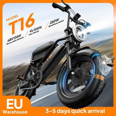 URLIFE T16 Elcykel 250W Motor 48V13AH Batteri 25KM/H Snabb Hastighet 45-50KM Lång Räckvidd IP54 Vattentät Elcykel