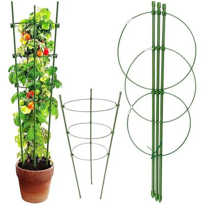 Planteunderstøttelse / Espalier - 60 cm