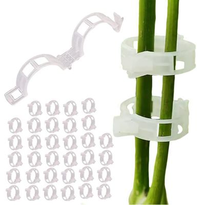 Planteklips for Plantestøtte - 100-pak - Transparent