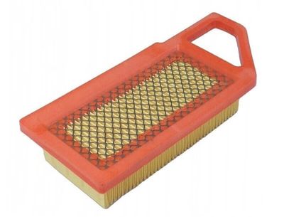 luftfilter för gräsklippare Alpina Castel Garden Mountfield Stiga / 118550321/0 1134-9163-01