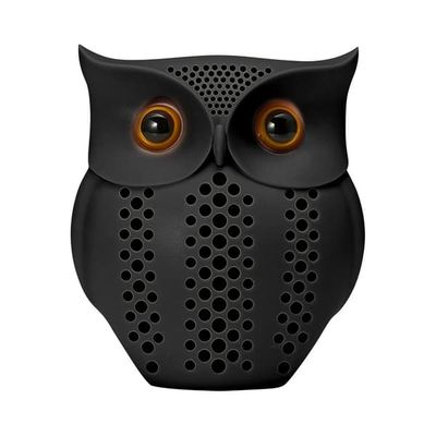 WiFi-Kamera med Bluetooth-Högtalare 1080P HD Uggla Tvåvägsljud Nattseende – Svart