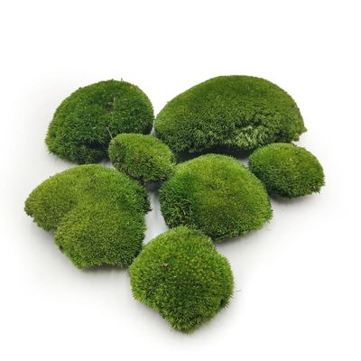 Pude Mos - Mørkegrøn Naturlig - 0,062m² (40x15cm) - Sverige
