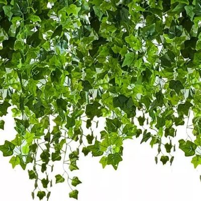 ARTIFICIAL IVY ”XL” 50,4m NR:1465