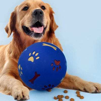 Hundeaktivitetsball - til glede og nytte for din hund