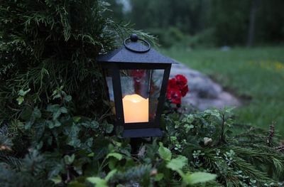 Gravljus Svart LED Sereno