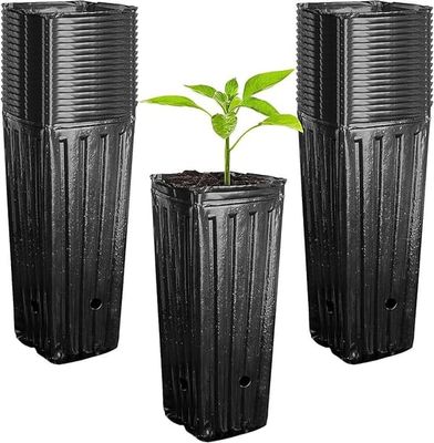 50-delt sæt dybe plasttræpotter, velegnet til planteskoler, 20 cm høj, velegnet til indendørs og udendørs haveplanter.