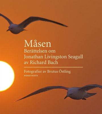 Lokki - Tarina Jonathan Livingston Seagullista (Kirja / Kovakantinen)