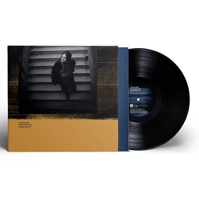 Berg Joakim: Fremtiden der aldrig blev til noget (Vinyl LP)