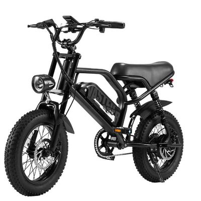 AVDL A13 elcykel, 16x3,0 tums däck, 36V12,8Ah batteri, skivbromsar fram och bak, LED-skärm-svart