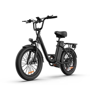 URLIFE E20 elcykel 250W, 48V 13Ah batteri, 50-70KM räckvidd, 25KM/H, 20*3.0 tum däck, högkolstål E-bike - black