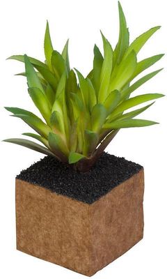 Plante Kunstig mini Kub Cult Design