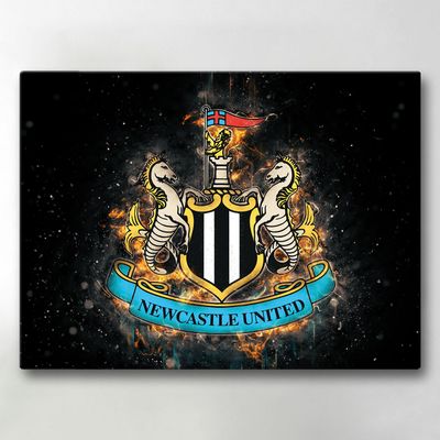 Lerretsbilde / Bilde - Newcastle United - 40x30 cm - Lerret
