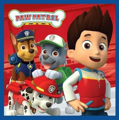Paw Patrol Magisk Håndkle Ansiktshåndkle, Håndkle 30x30 cm