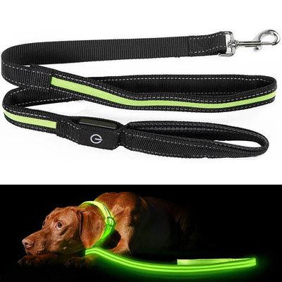 Hundebånd med LED / Bånd for Hund - 175 cm