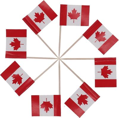 Phwj 100 kpl cocktailhammastikkuja lippukakun päälliset poimintoja mini pieni lippu cupcake poimia tikkuja cupcake päälliset koristeet (Kanada)